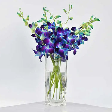 Royal Blue Orchids Vase, Blue Orchid, Parvifolia Leaves, Grosgrain Ribbon, Floral Glass Vase